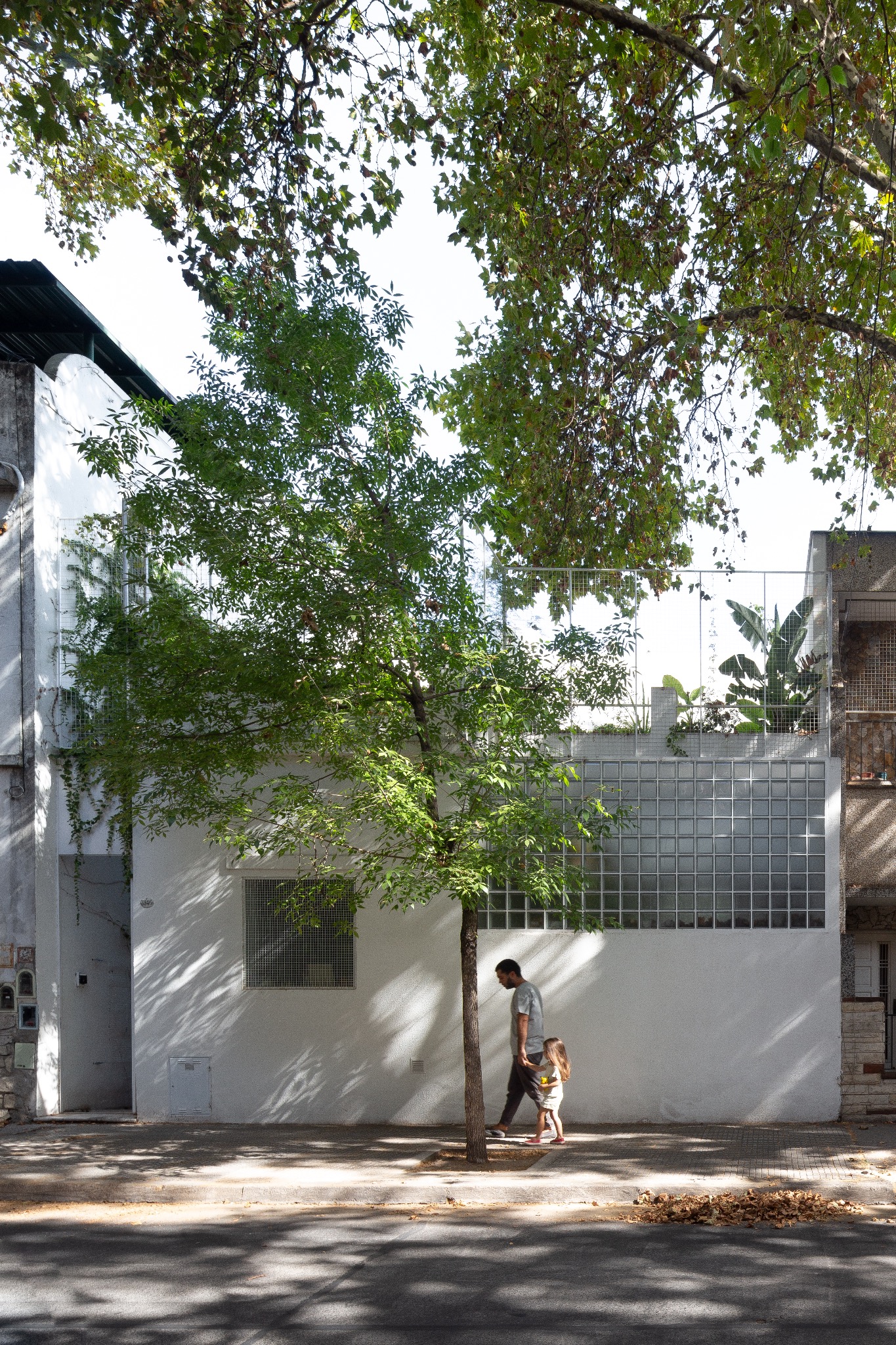 Fachada blanca de la Casa Ginebra detrás del arbolado urbano